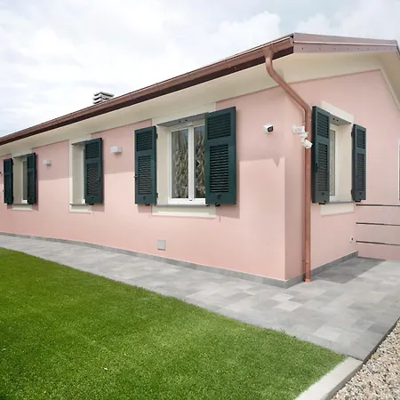 Angelina * ラヴァーニャ